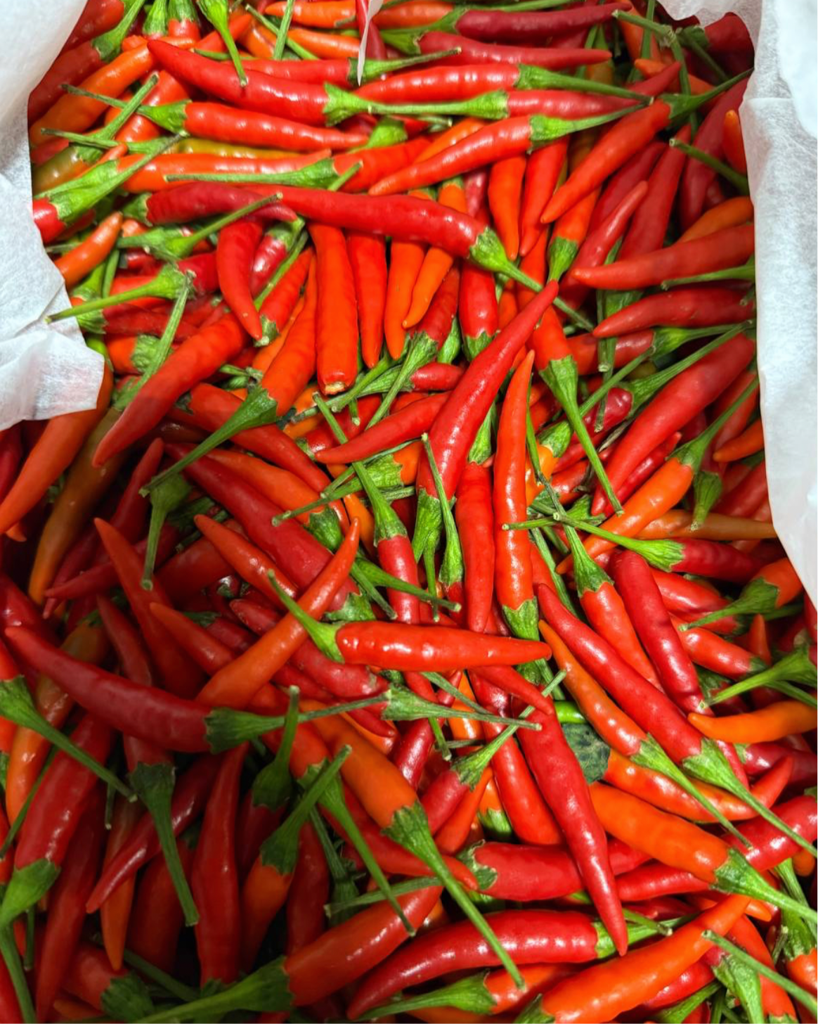 泰国辣椒🌶️ 1磅
