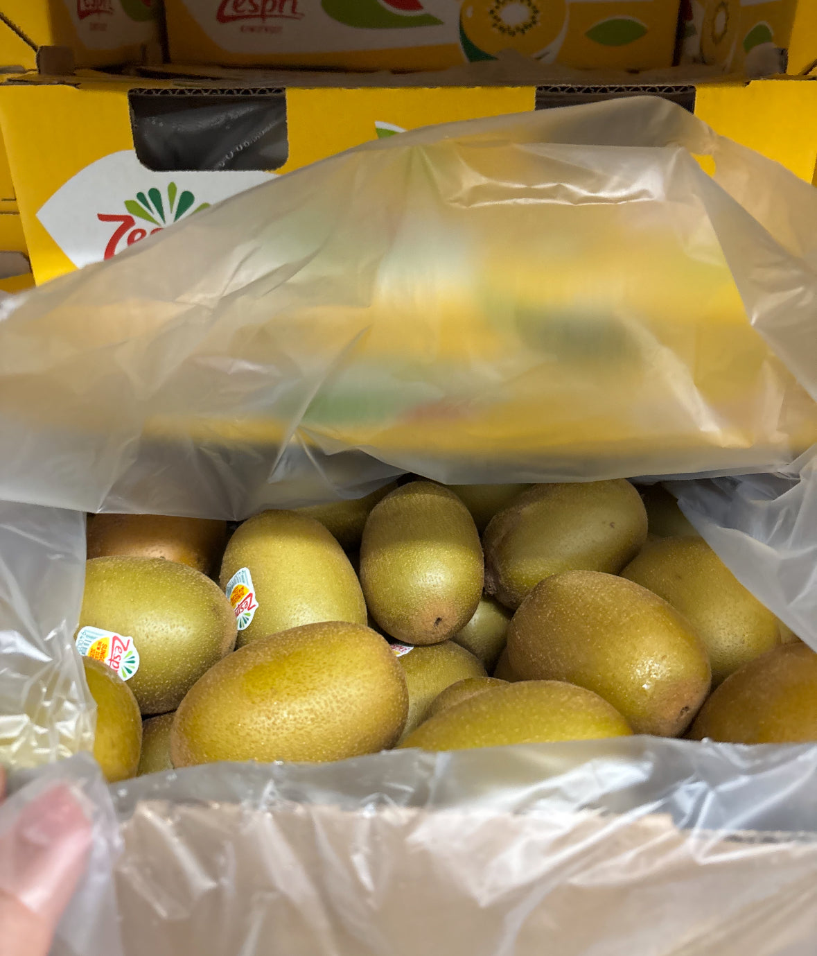 黄金奇异果 半箱 20个