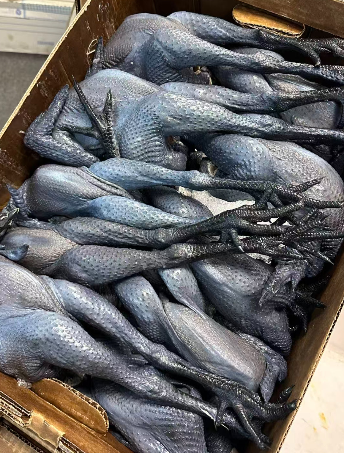 Black Chicken 3lbs+