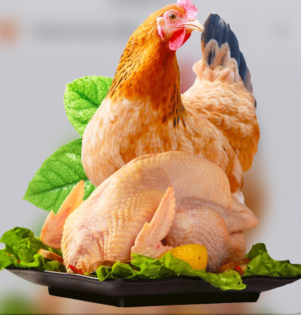 Chicken 4-5磅