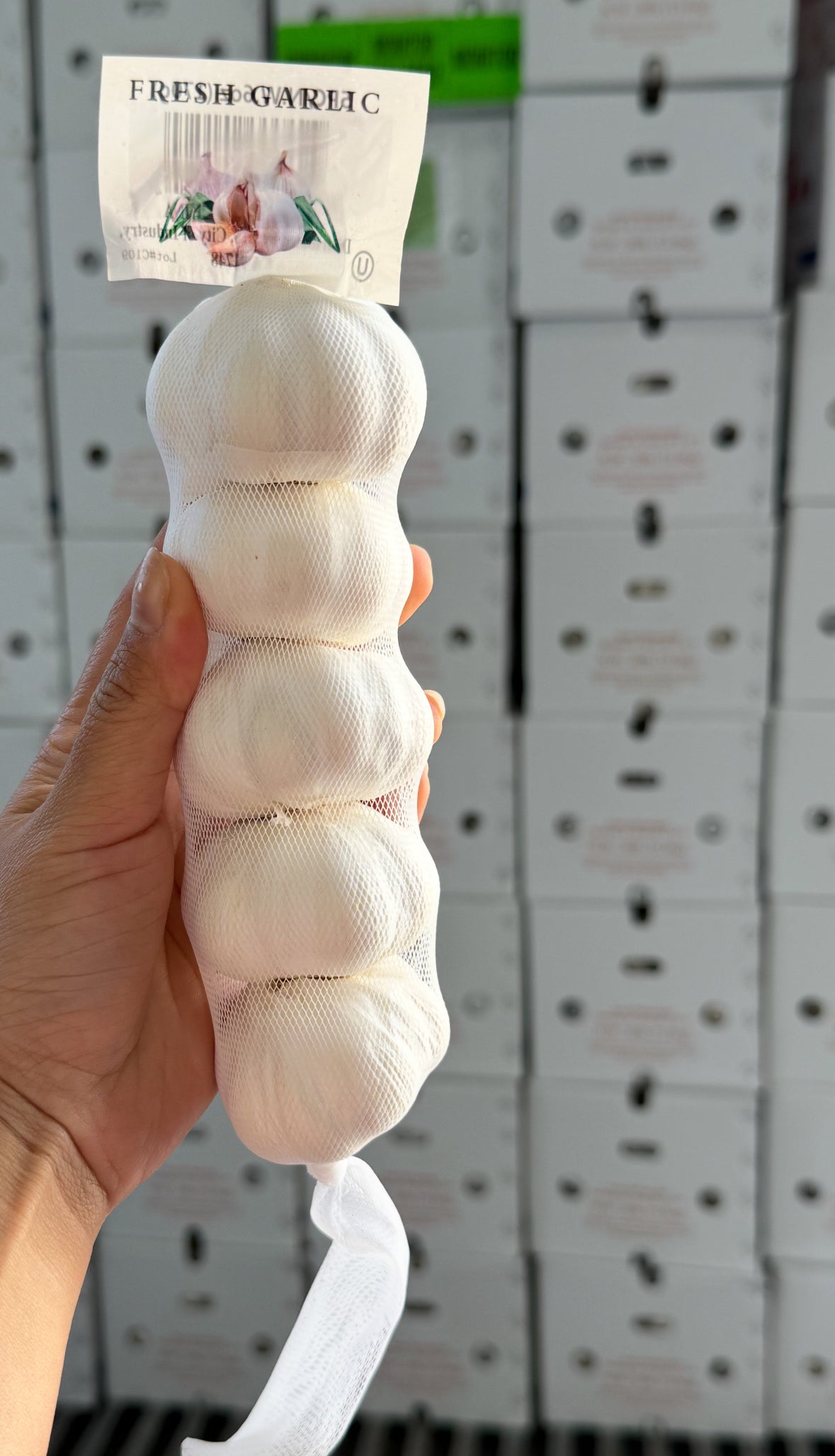 GC-新鲜蒜头 2个