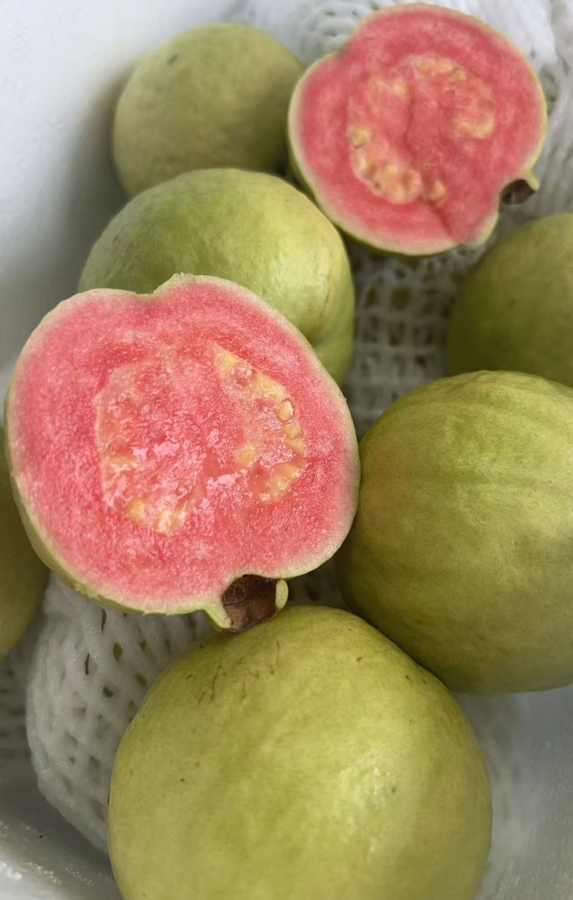 粉红芭乐 Large 一箱 10磅