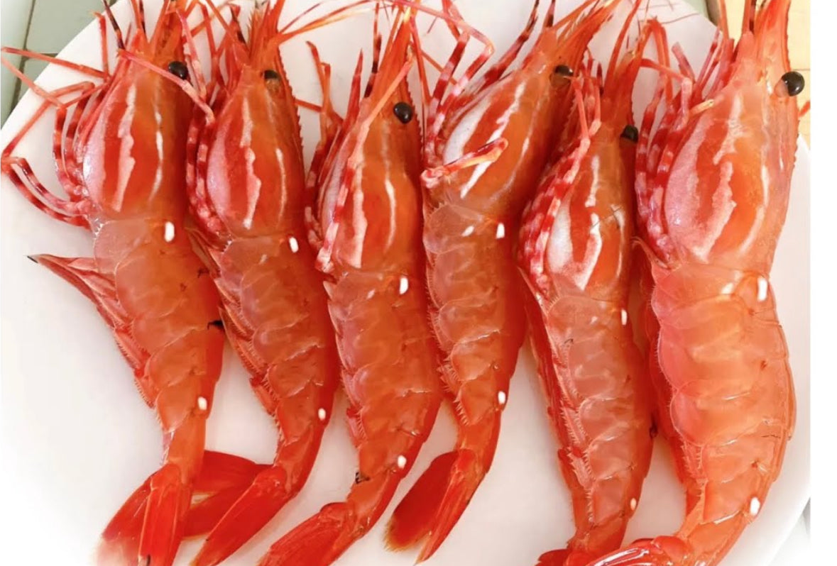 Natural Ebi 2lbs 牡丹虾