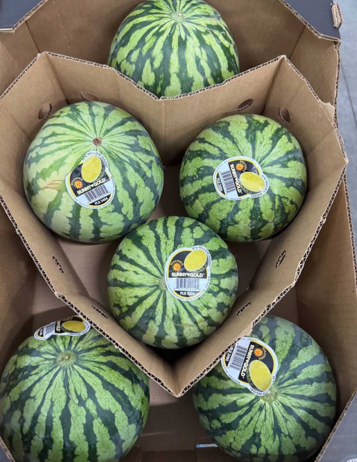 GC-Yellow Melon 1个