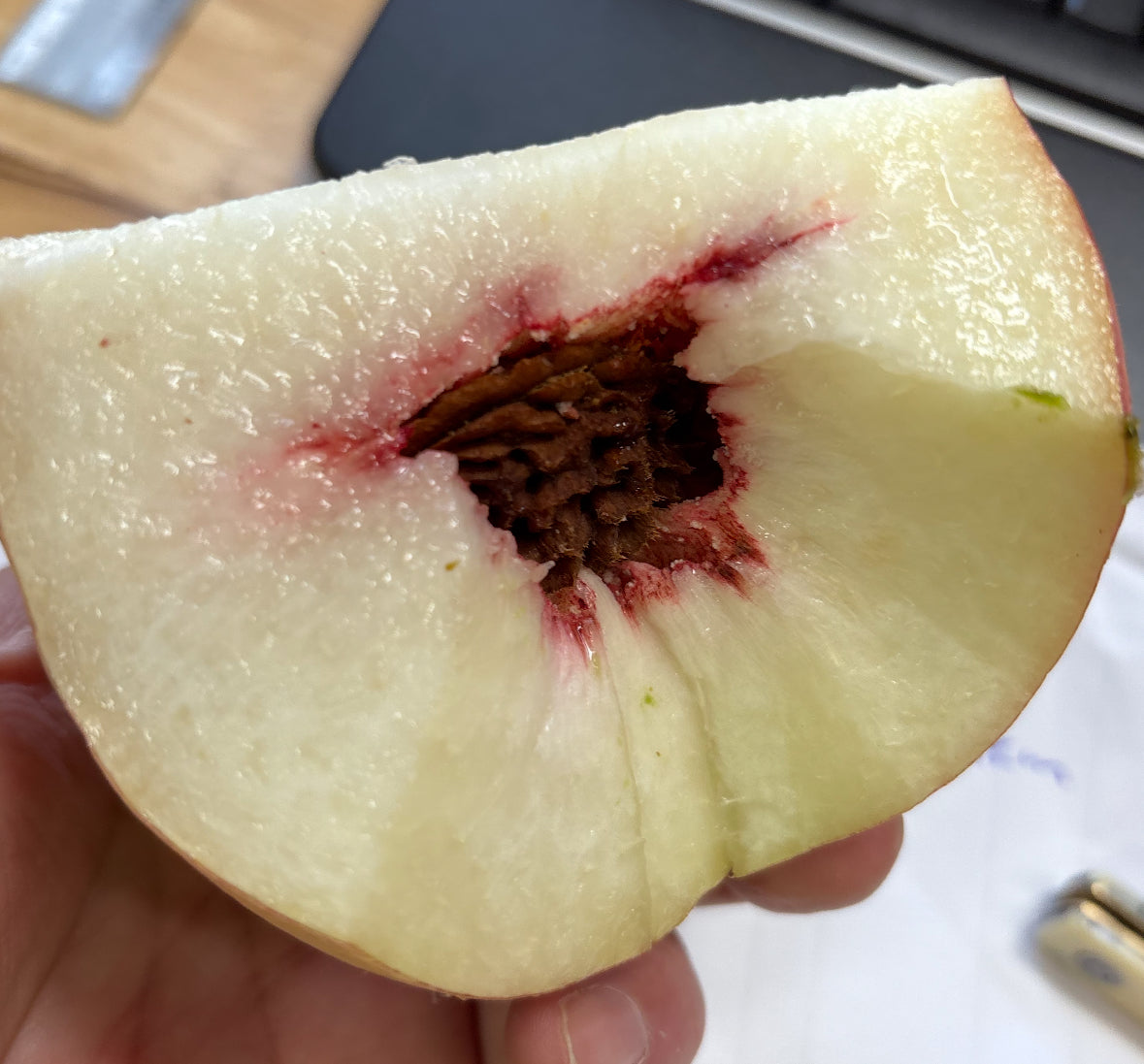 GC-Giant Peach 13lbs