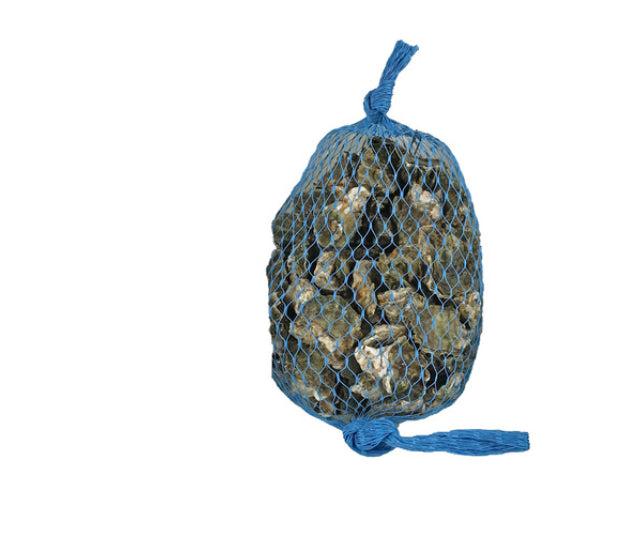 BBQ Oyster x Large 烧烤生蚝🦪 12个