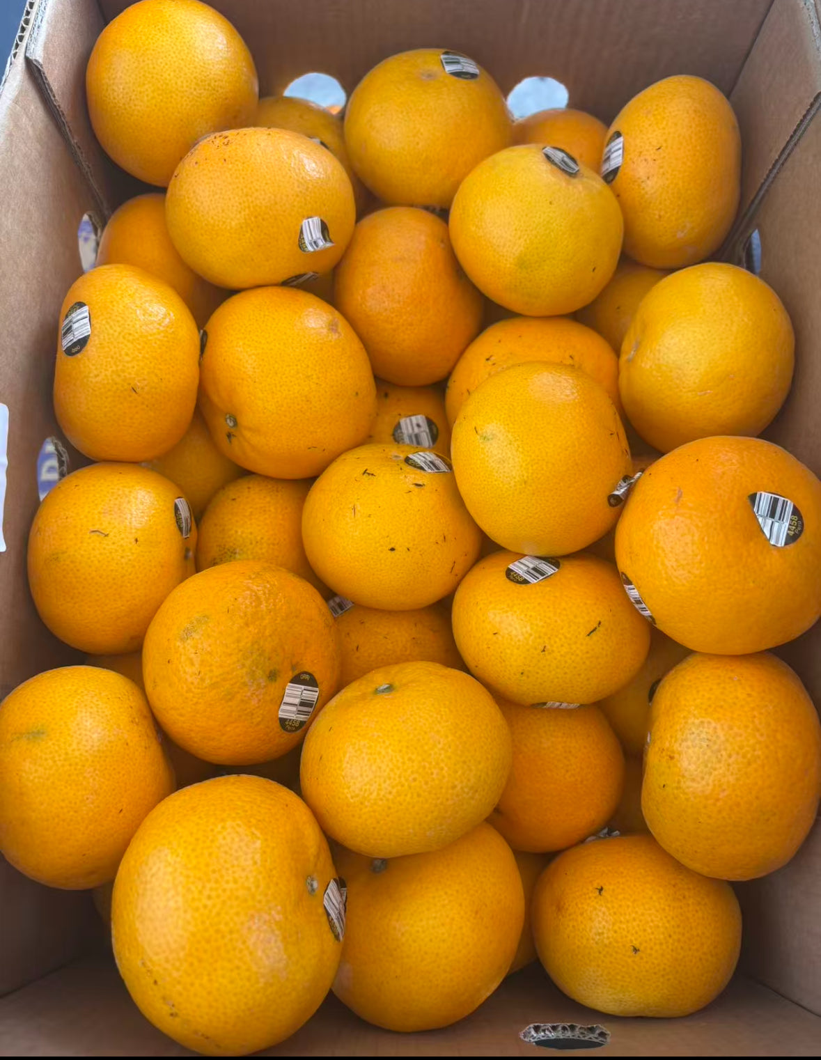 以色列蜜橘🍊 3磅