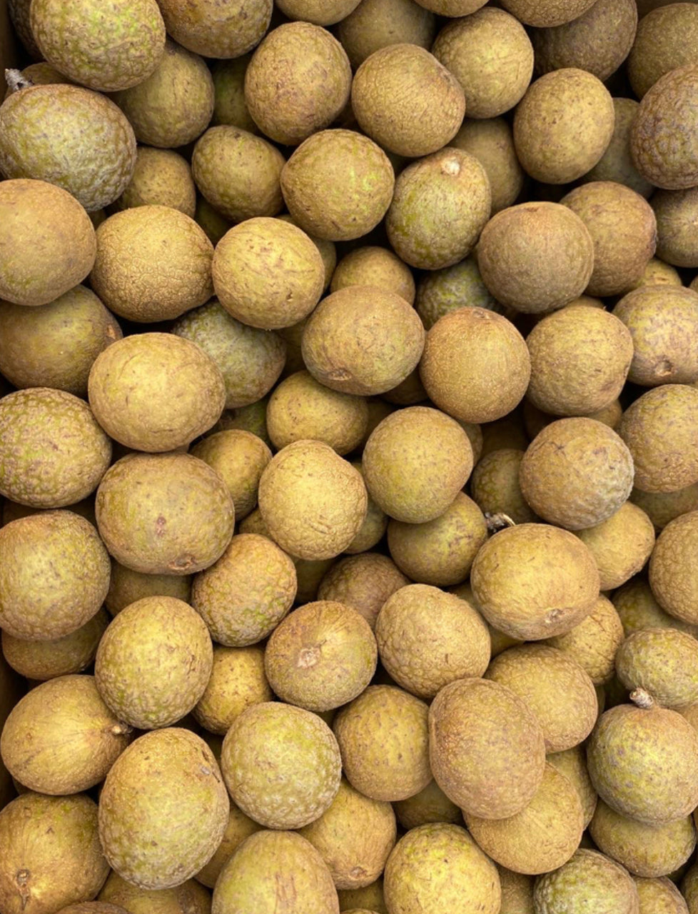 夏威夷龙眼 8磅