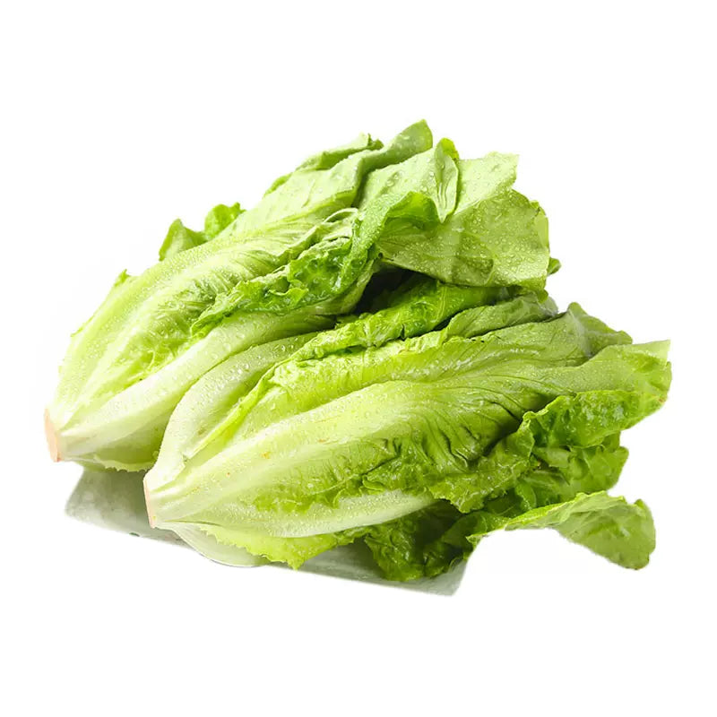 绿叶生菜 1磅