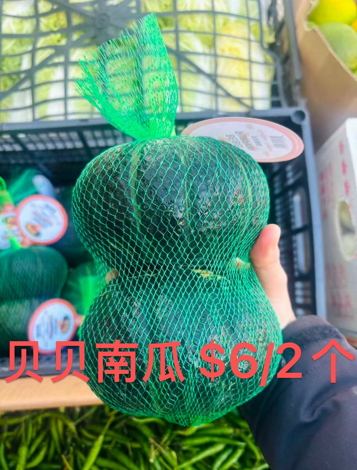贝贝南瓜 2个