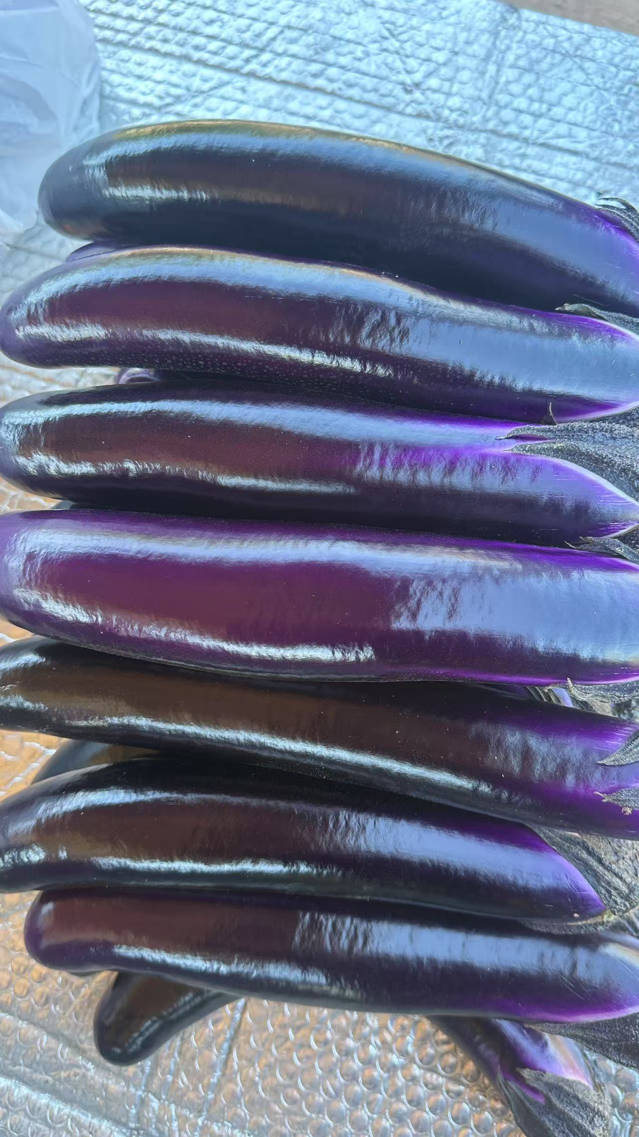 茄子🍆 2磅