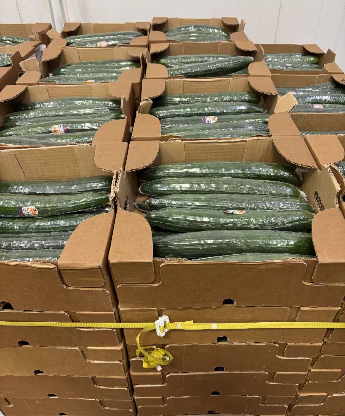 GC-黄瓜🥒 12条