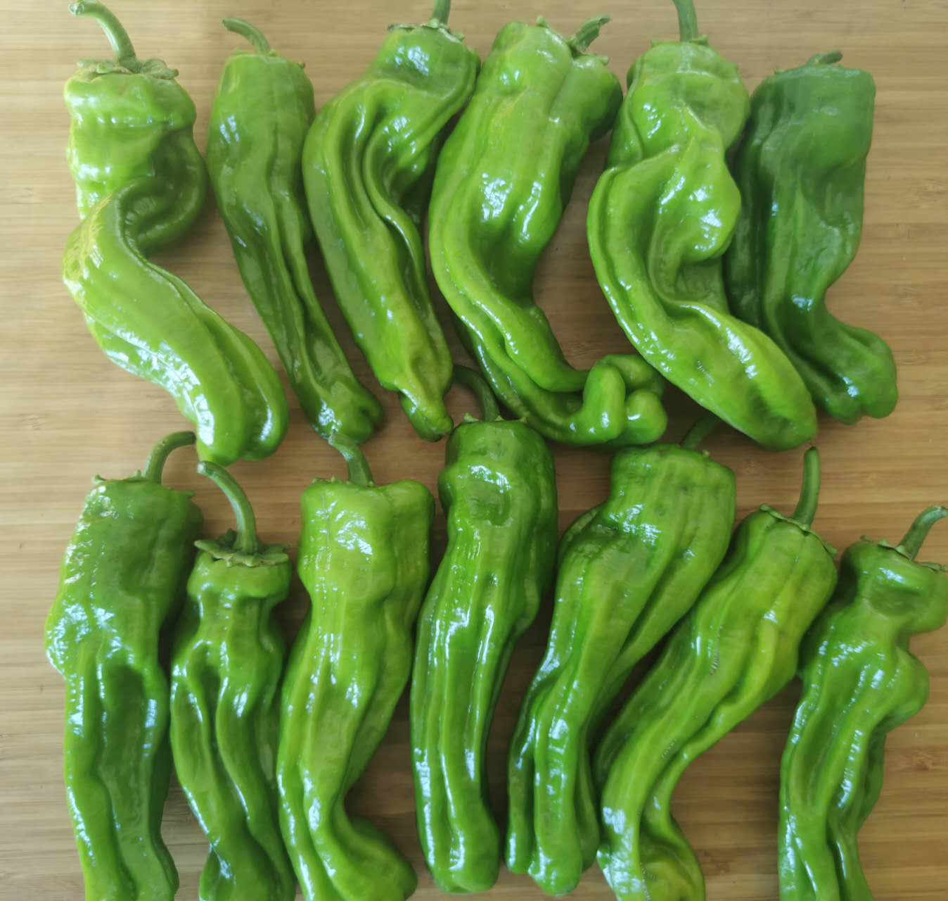 GC-马椒 1lbs