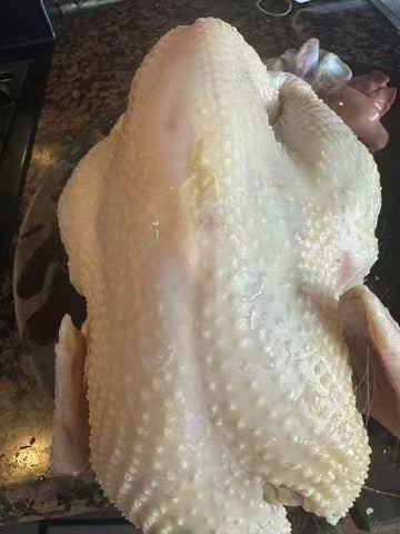 GC-Chicken 10months 1个(天然散养)