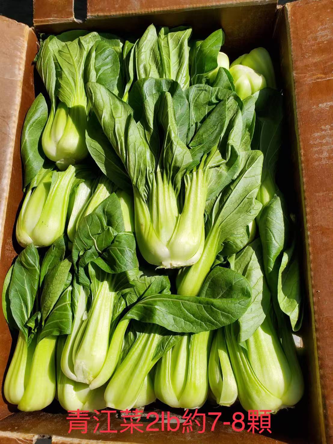 GC-青江菜 2磅