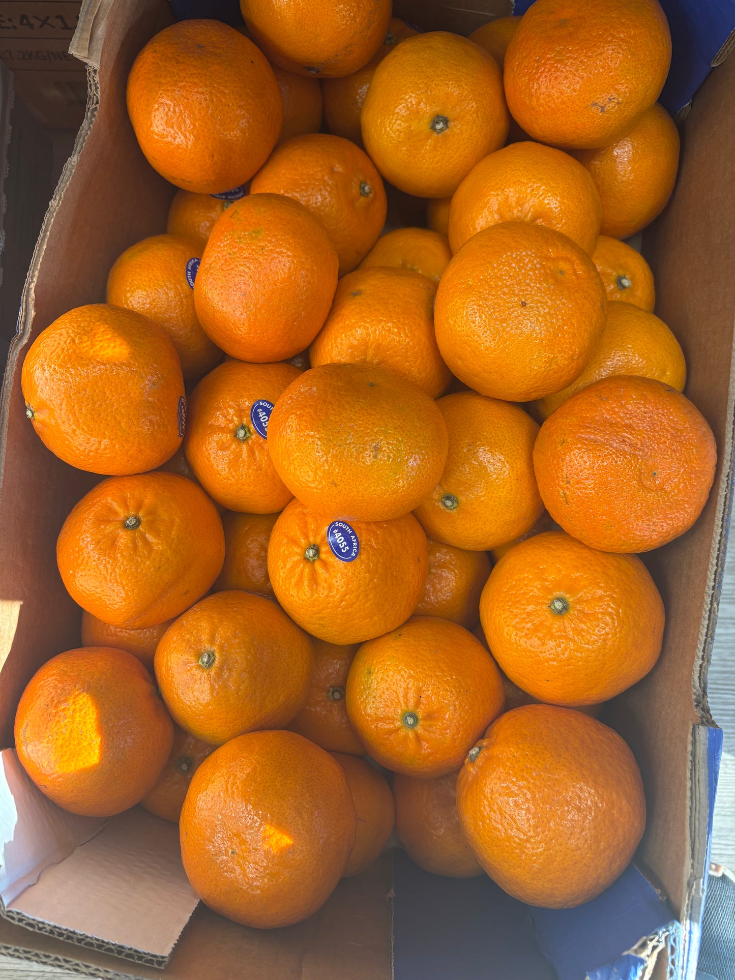 GC-非洲蜜桔 5磅