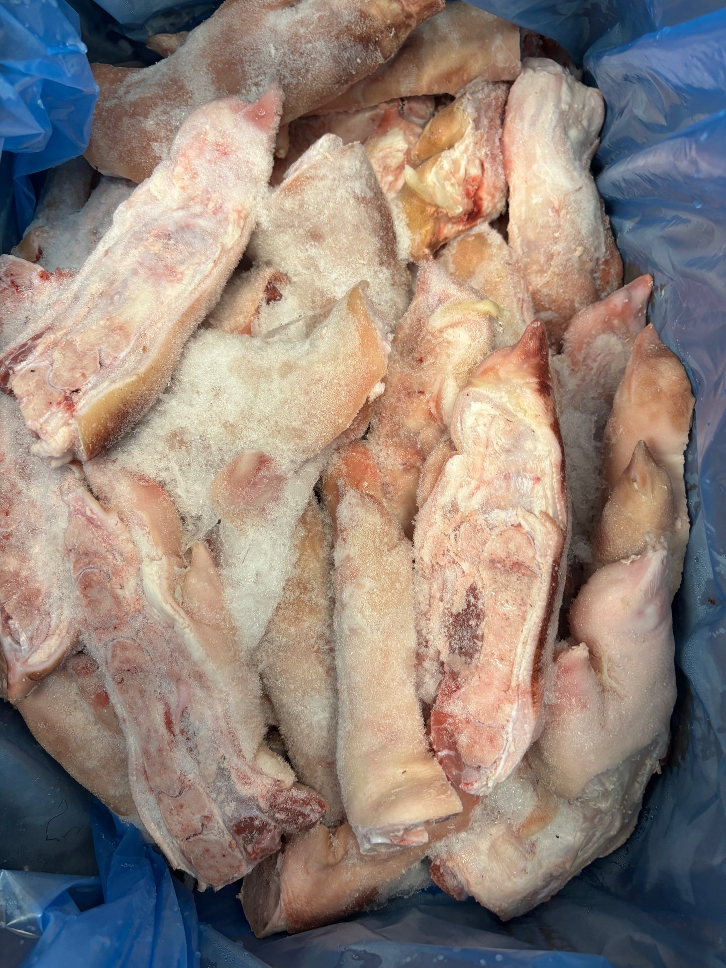 黑毛猪猪蹄 5磅