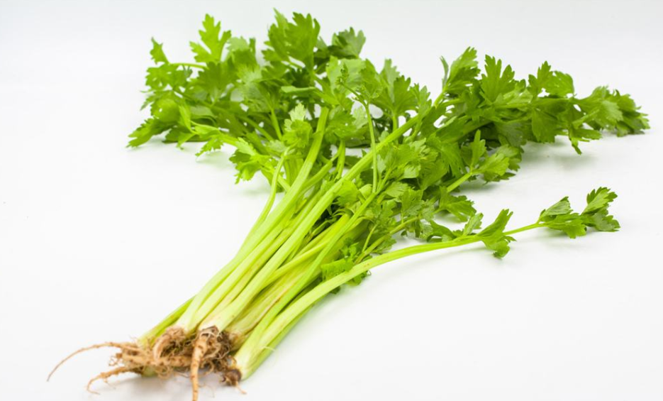 中国芹菜 1磅 (每人限买一磅)