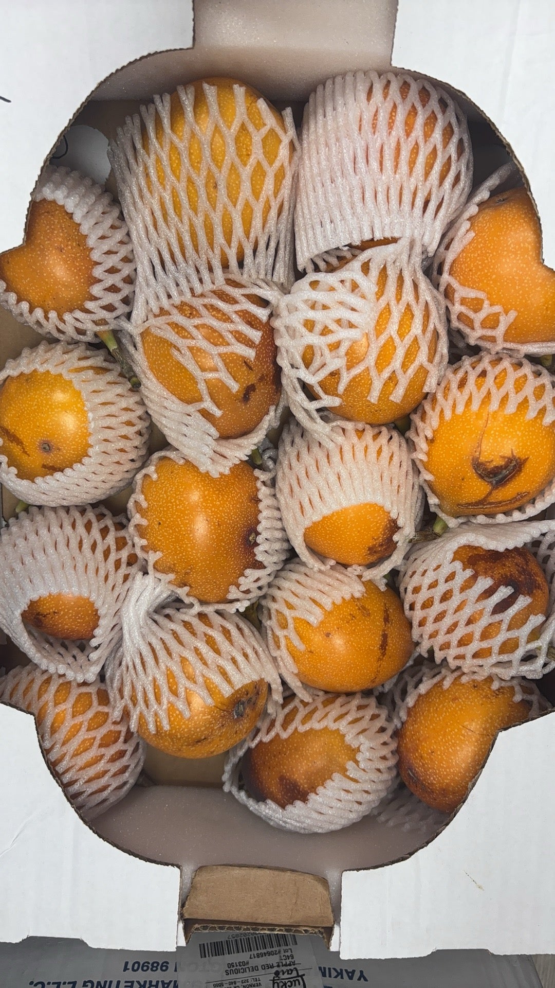 黄金百香果 1个