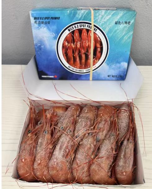 加拿大珊瑚虾 2.2磅