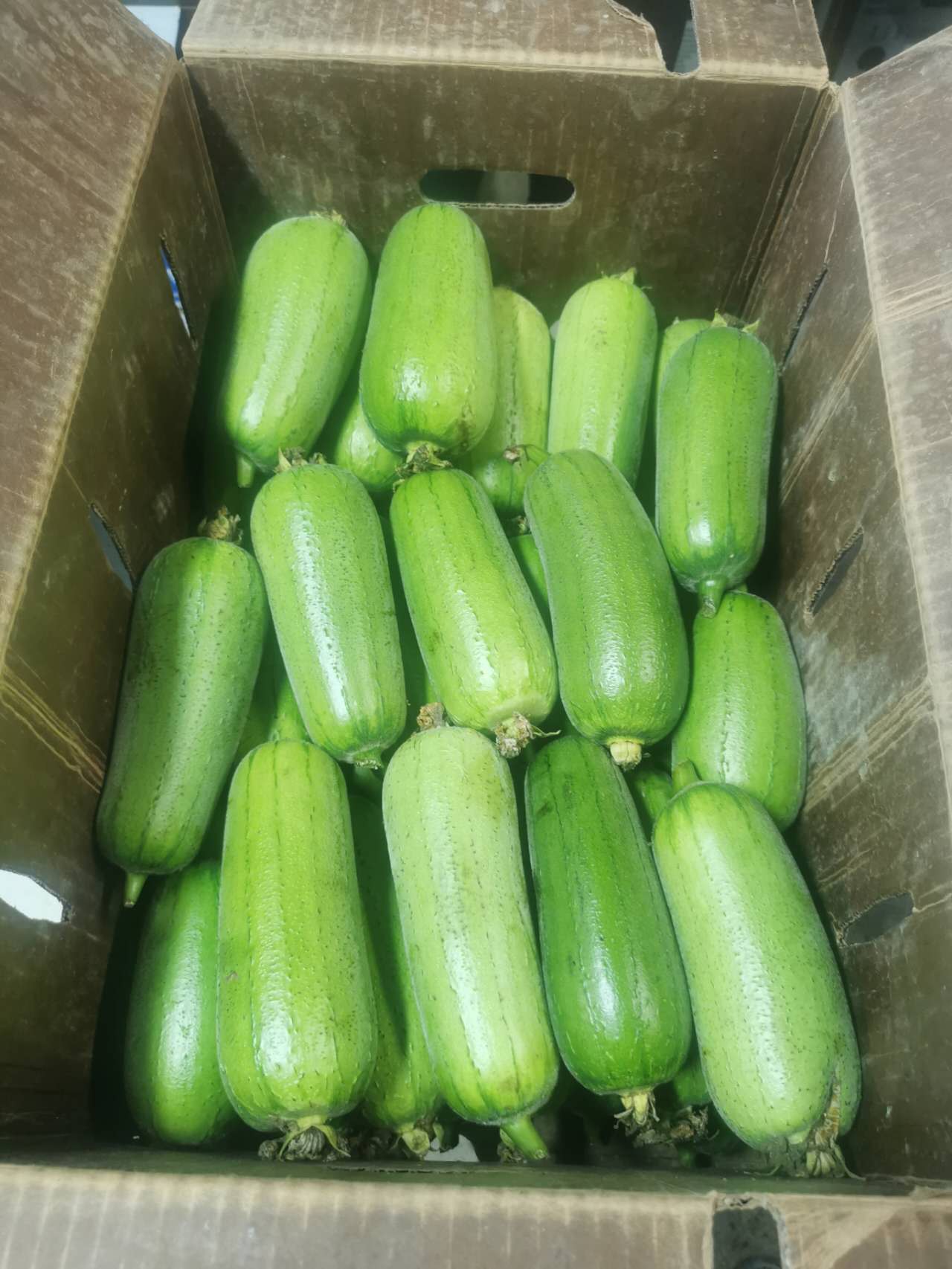周一到货的蔬菜水果🥭🥬