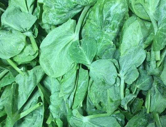 大豆苗 1磅 （每人限买1磅）