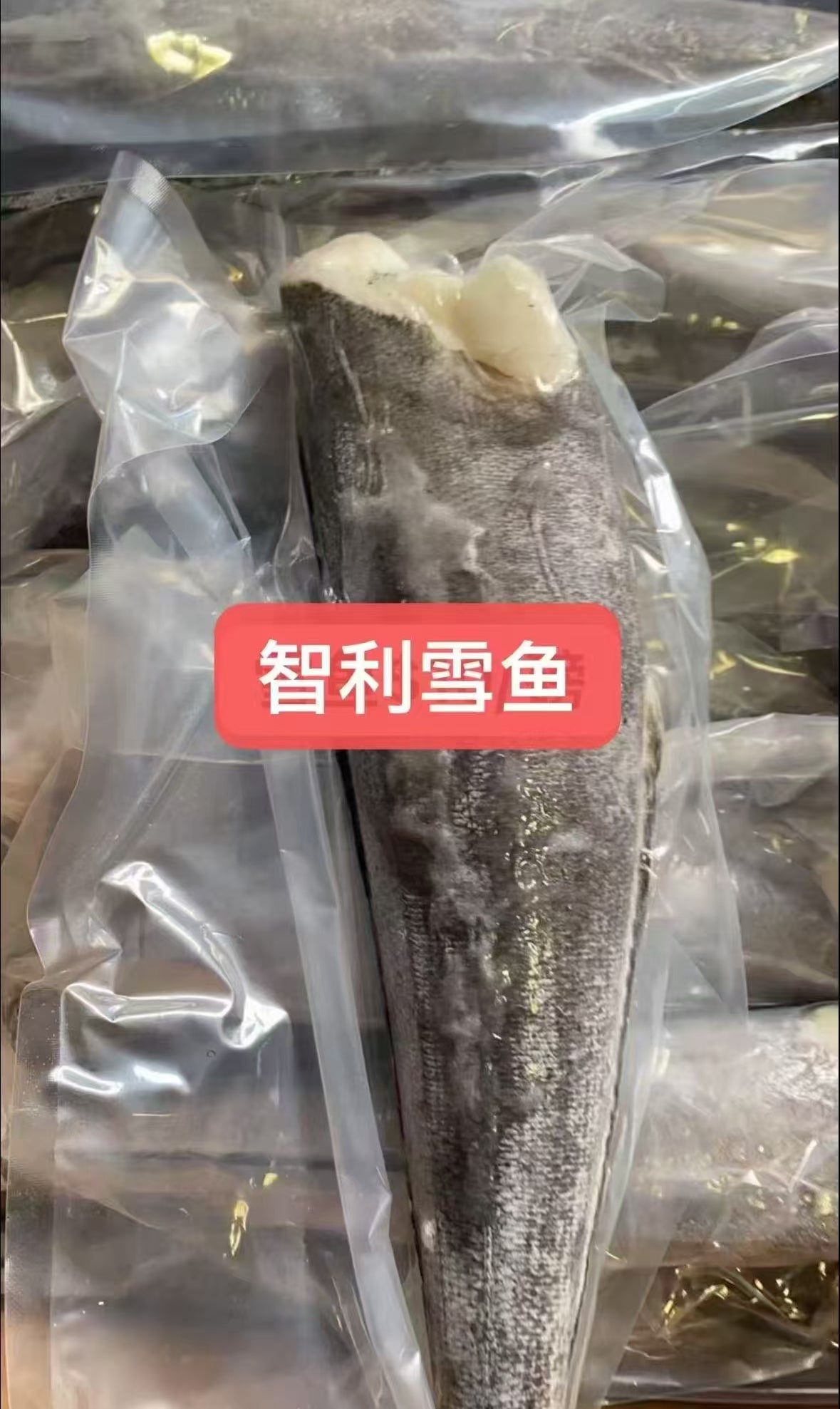智利小鳕鱼 1.5-2磅 多除少补(预售价）