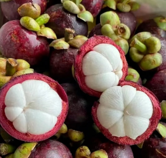Mangosteen 山竹 2lbs