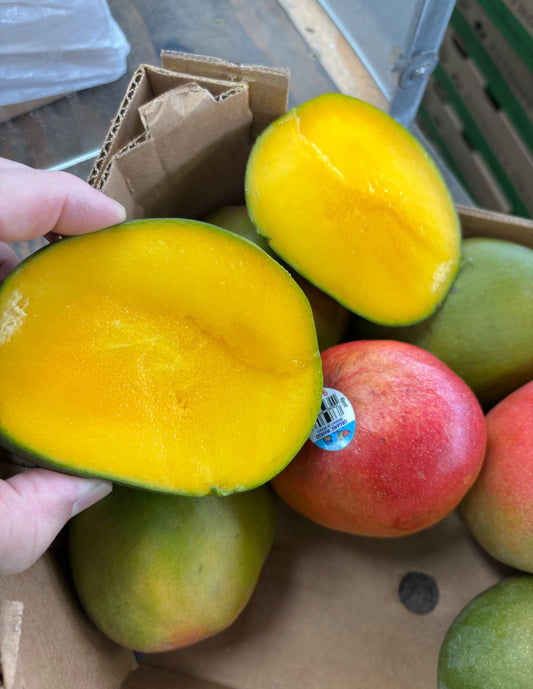 Gift Card Kent Mango 9pcs