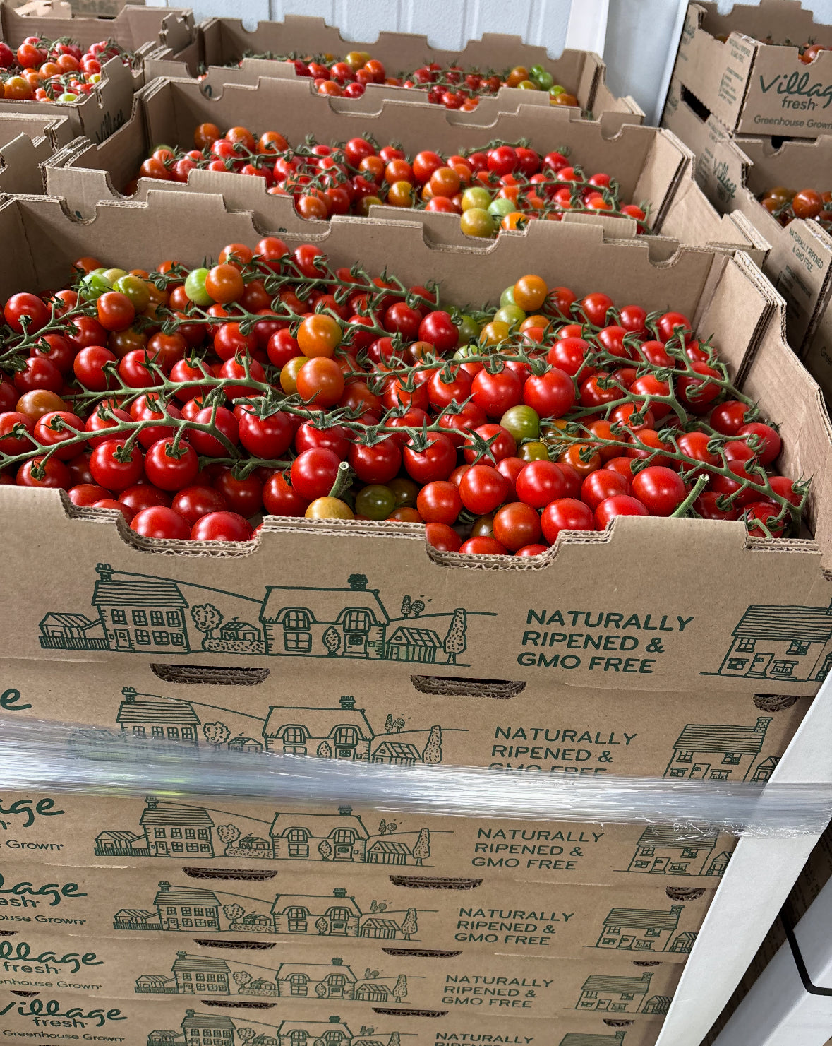 Cherry Tomatoes 2lbs