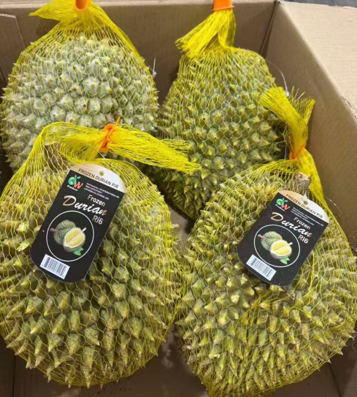 Frozen RI6 Durian 25磅左右