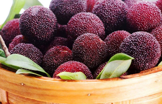 Gift Card Bayberry 1lb 杨梅