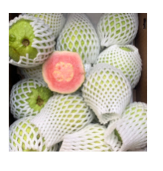 粉色芭乐 10磅（母亲节特价）