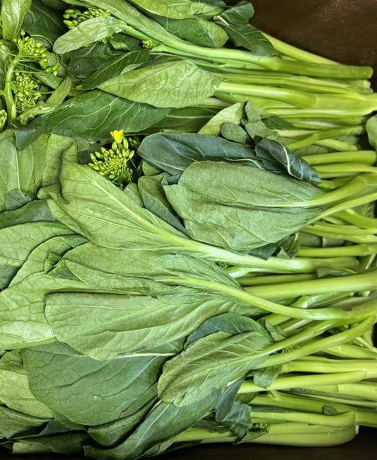 油菜 1磅