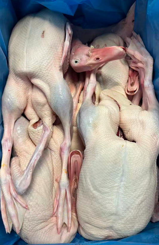 鸭子 🦆 4.5-5磅