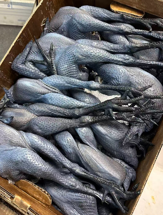 Black Chicken 3lbs+
