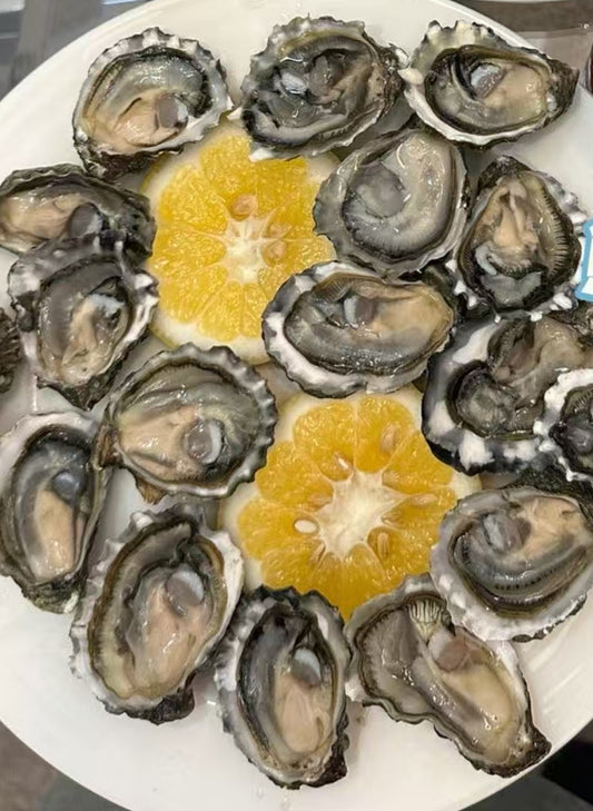 熊本生蚝🦪 10个