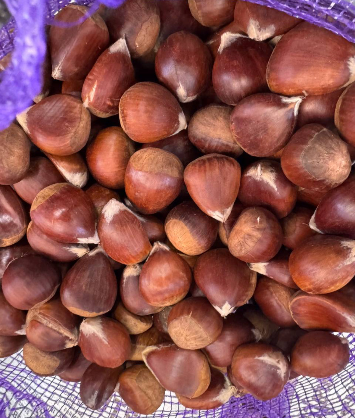 加州新鲜栗子🌰 Large 2lbs