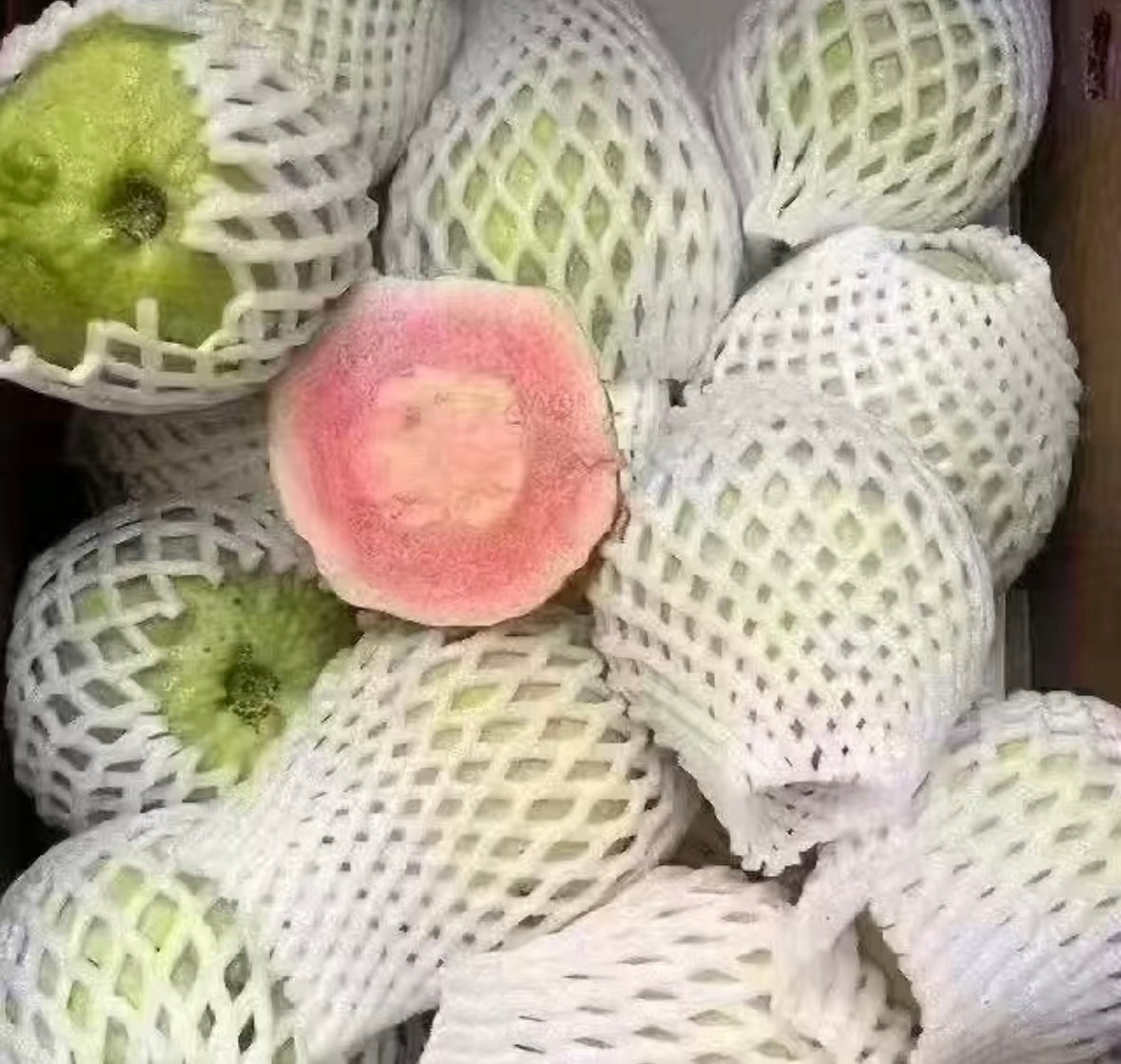 粉红芭乐 1箱 10磅