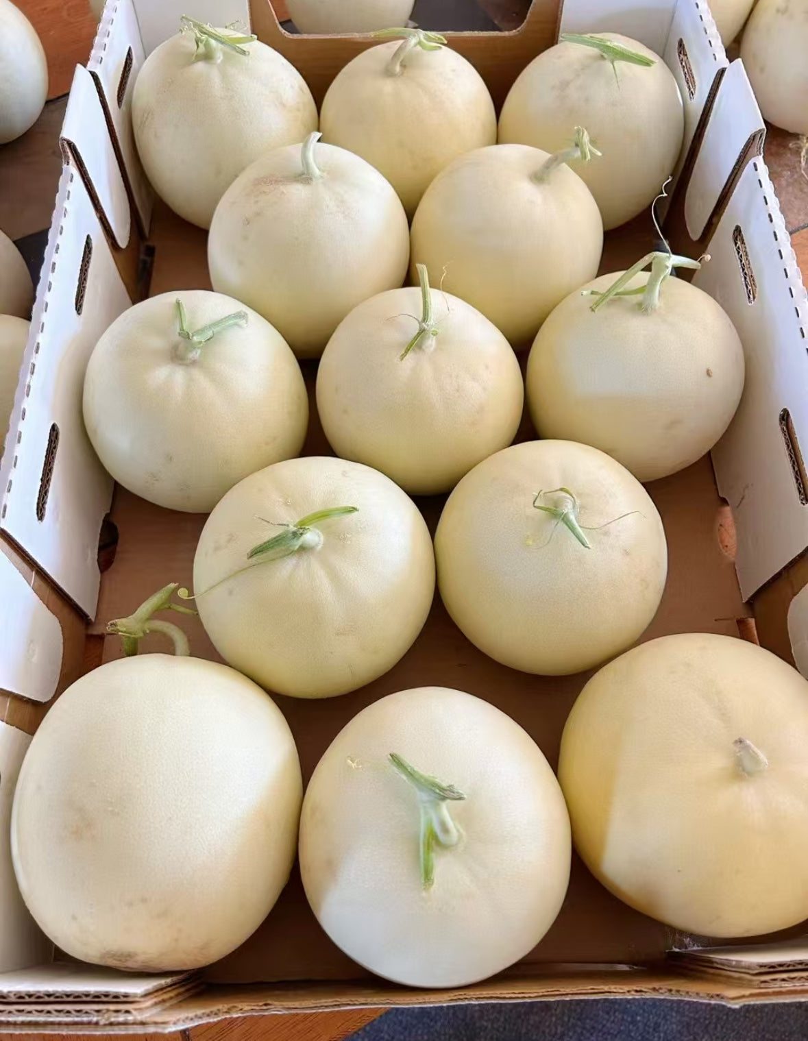 很好吃的香瓜🍈 12-13个