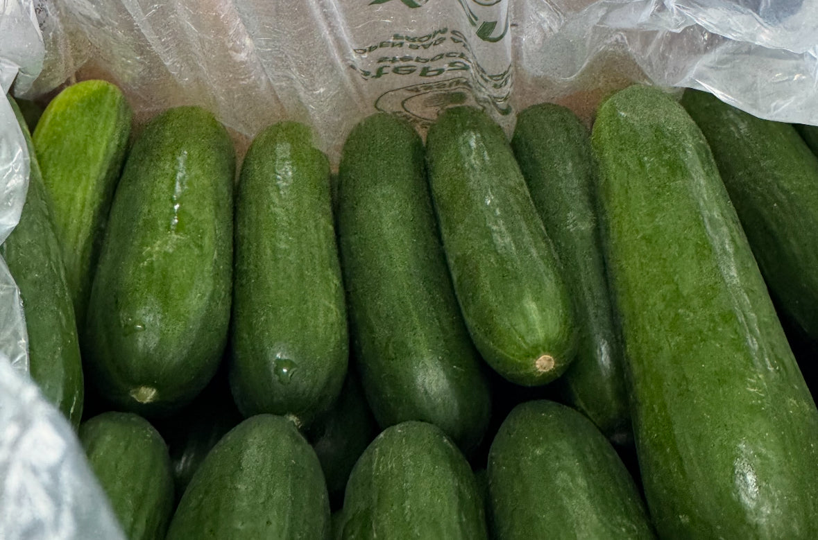 GC-波斯小黄瓜 2磅