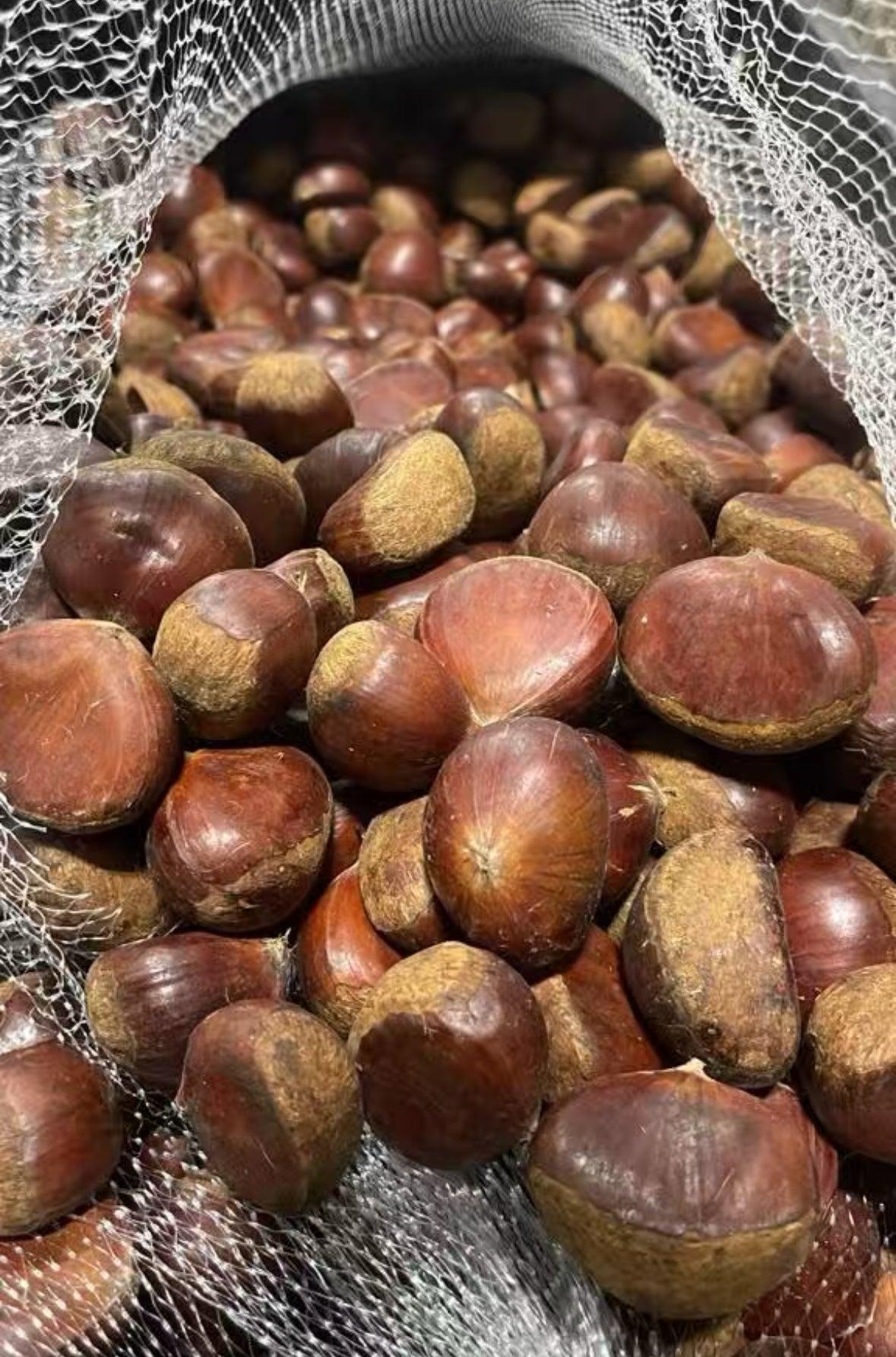 新鲜栗子🌰 4磅 周六到货