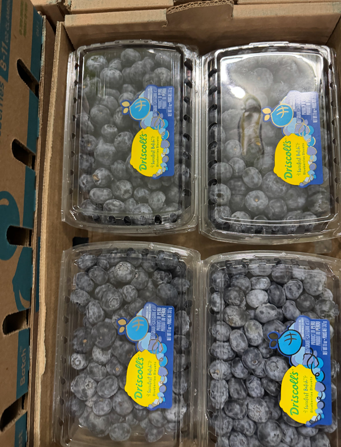 Sweetest Batch Blueberries 11oz 3盒