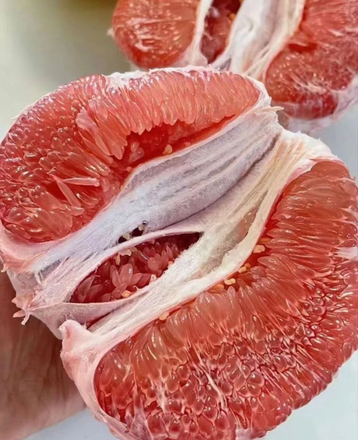 中国红肉柚 8个