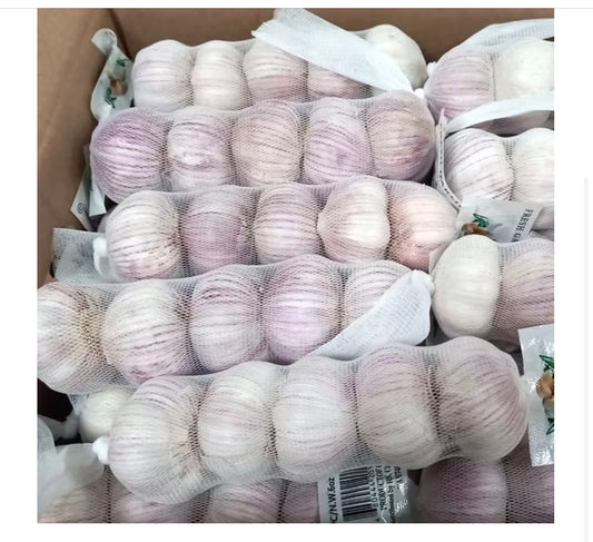 Garlic 1串