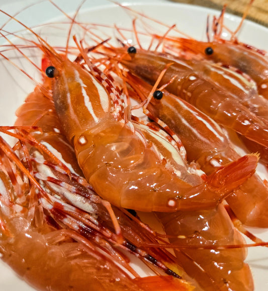 珊瑚虾 2磅