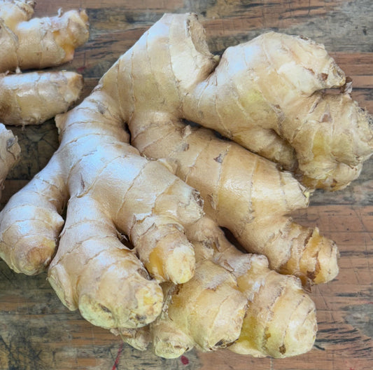 Organic Baby Ginger 1lb