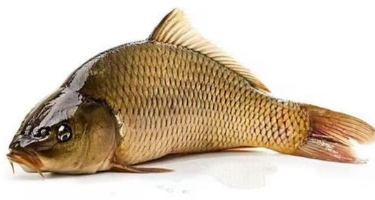 鲤鱼🐟 10磅 $5/磅 多除少补