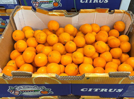 GC-Clementine (seedless)
Very sweet 👍 3磅