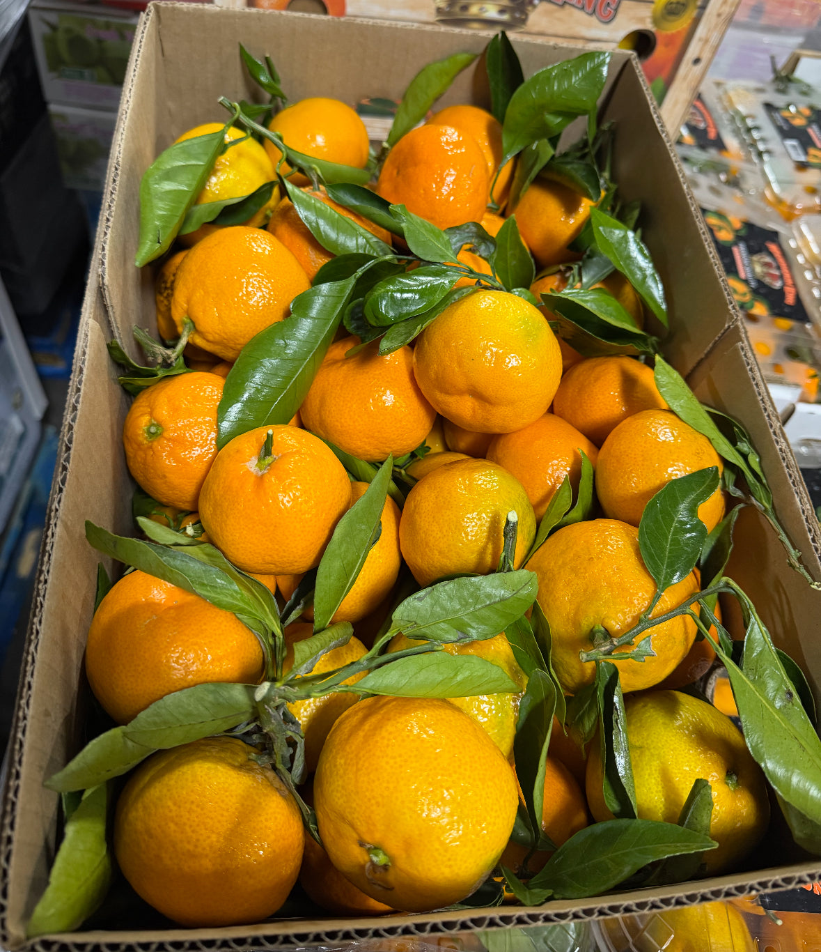 带叶橘子🍊 好吃😋 2lbs